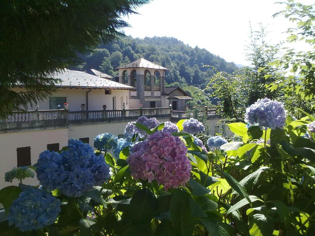 Hotel Villa Delle Ortensie Sant'Omobono Imagna Kültér fotó
